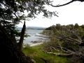 Ushuaia – Tierra del Feugo national park