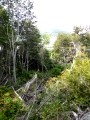 Ushuaia – Tierra del Feugo national park