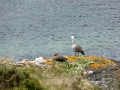 Ushuaia – Tierra del Feugo national park