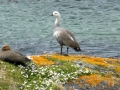 Ushuaia – Tierra del Feugo national park