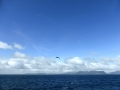 Bright day in Patagonia from ship