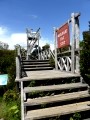 Parque Nacional de Chiloe – viewing platform