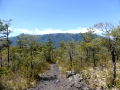 Walking on Vulcano Osorno