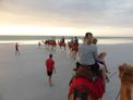 Camel ride on Cable Beach