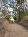 The road downt to the old Fitzroy Crossing