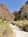 Bungle Bungles – Cathedral Gorge