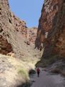 Bungle Bungles – Cathedral Gorge