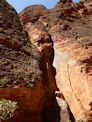 Bungle Bungles – Cathedral Gorge