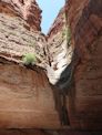 Bungle Bungles – Cathedral Gorge