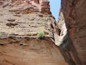 Bungle Bungles – Cathedral Gorge