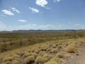 near Bungle Bungles