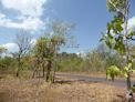 Kakadu – Burrungul