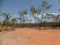 Kakadu – bush