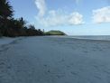 Daintree coast