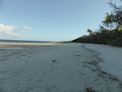 Daintree coast