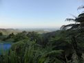 Daintree coast