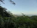 Daintree coast