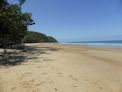 Daintree coast