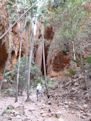 Echidna Gorge Bungle Bungles