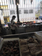 Manaus – Mercado Municipal Adolfo Lisboa