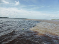 Confluence of Rio Negro and Rio Solimões</a> The confluence of the Murray and Darling is puny in <a href=http://members.iinet.net.au/~nickred/end08start09/DSCN3087.jpg target=_blank>comparison