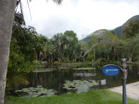 Rio Botanical Gardens – lake