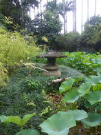 Rio Botanical Gardens – Japanese garden water clock