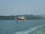 Paraty cruise