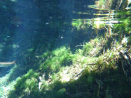 Nobres Blue Lake natural acquarium