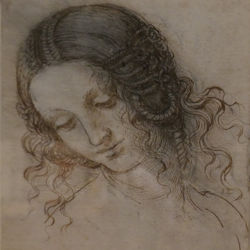 The head of Leda – Leonado da Vinci