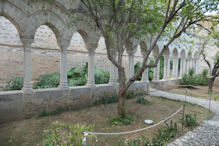 Palermo – San Giovanni degli Ermitti