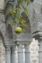 Palermo – San Giovanni degli Ermitti