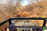 Ranthambhore Tiger park – up and down hills