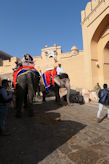 Jaipur – Amber Fort