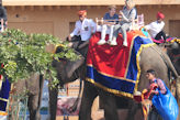 Jaipur – Amber Fort