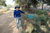 Jaipur Central Park do not pluck flower