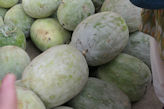 Chennai – Black Town Market Ash melon