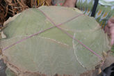 Chennai – Black Town Market plates made from stitched together tree leaves