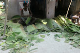 Chennai – Black Town Market plate factory (banana leaf)