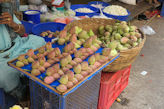 Chennai – Black Town Market lotus flower buds