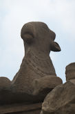 Kailasanatra Temple, Kanchipuram