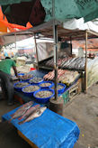 Kochi – fishmonger