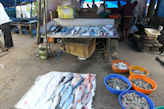 Kochi – fishmonger