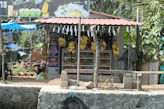 Boat trip on back waters near Alleppey