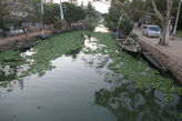 Boat trip on back waters near Alleppey