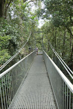 Mossman Gorge walk