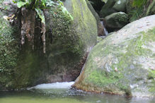 Mossman Gorge walk – little water fall