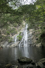 Hartley's Creek walk – the waterfall