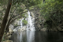 Hartley's Creek walk – the waterfall