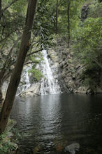 Hartley's Creek walk – the waterfall